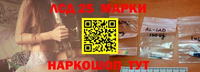 шишки Апшеронск