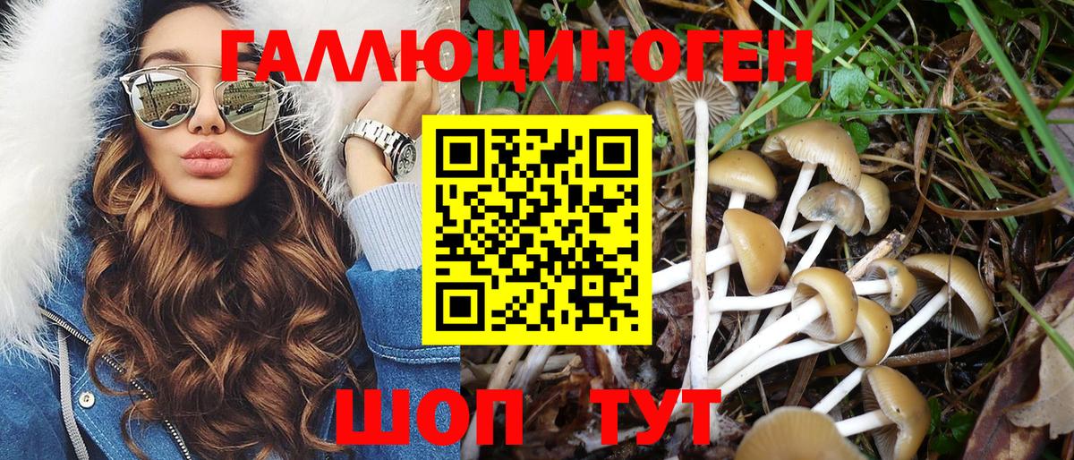 Галлюциногенные грибы прущие грибы Берёзовский